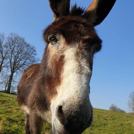Le Basecamp Des Sommets Holiday home *