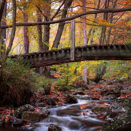 Holiday home Le Basecamp Des Sommets *