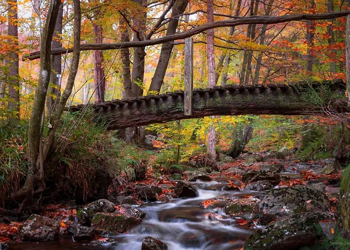 Vakantiehuis Le Basecamp Des Sommets *