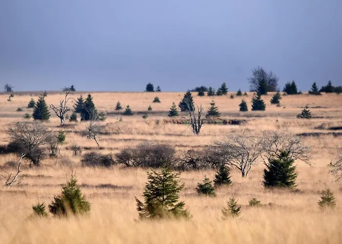 Nyaraló Le Basecamp Des Sommets